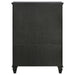 Coaster Sandy Beach Door Chest with Concealed Storage Black Default Title