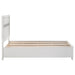 Coaster Miranda 2-drawer Storage Bed White Twin