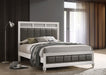 Coaster Barzini Upholstered Panel Bed White Cal King