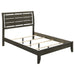 Coaster Serenity Panel Bed Mod Grey Full