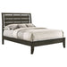 Coaster Serenity Panel Bed Mod Grey Twin