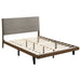 Coaster Mays Upholstered Platform Bed Walnut Brown and Grey King