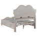 Coaster Evangeline Storage Bed with LED Headboard Silver Oak and Ivory Cal King