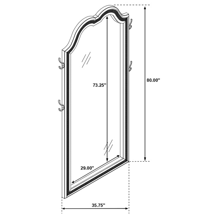 Coaster Evangeline Full Length LED Floor Mirror Silver Oak Default Title