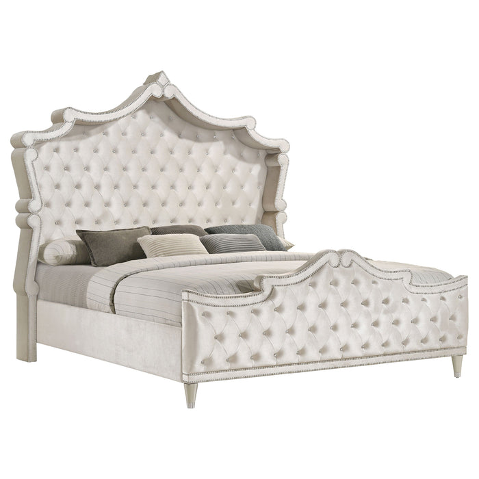 Coaster Antonella Upholstered Tufted Bed Ivory and Camel Eastern King