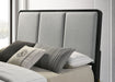 Coaster Arini Bed with Upholstered Headboard Black and Grey King