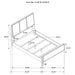 Coaster Arini Bed with Upholstered Headboard Black and Grey King