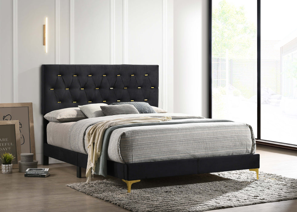 Coaster Kendall Tufted Panel Bed Black and Gold Cal King