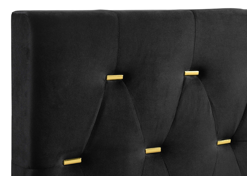 Coaster Kendall Tufted Panel Bed Black and Gold Cal King