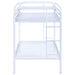 Coaster Morgan Twin Over Twin Bunk Bed White Default Title