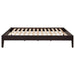 Coaster Hounslow Universal Platform Bed Cappuccino Twin