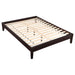 Coaster Hounslow Universal Platform Bed Cappuccino Twin