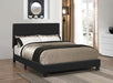 Coaster Mauve Bed Upholstered Black Twin