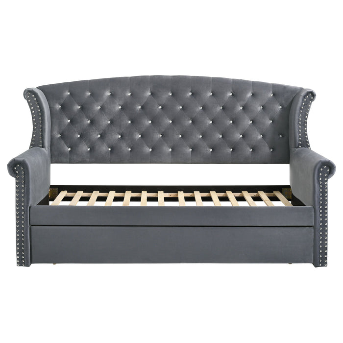 Coaster Scarlett Upholstered Tufted Twin Daybed with Trundle Black