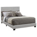 Coaster Dorian Upholstered Bed Grey Twin