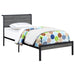 Coaster Ricky Platform Bed Grey and Black Twin