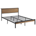 Coaster Ricky Platform Bed Light Oak and Black Full