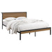 Coaster Ricky Platform Bed Light Oak and Black Twin