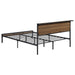 Coaster Ricky Platform Bed Light Oak and Black Twin