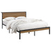 Coaster Ricky Platform Bed Light Oak and Black Twin