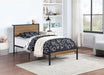 Coaster Ricky Platform Bed Light Oak and Black Twin