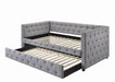 Coaster Mockern Tufted Upholstered Daybed with Trundle Grey Default Title