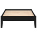 Coaster Hounslow Platform Bed Black Twin