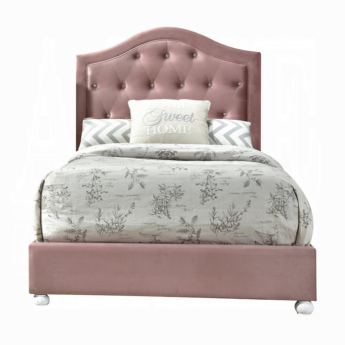 Reggie Upholstered Arched Headboard Bed