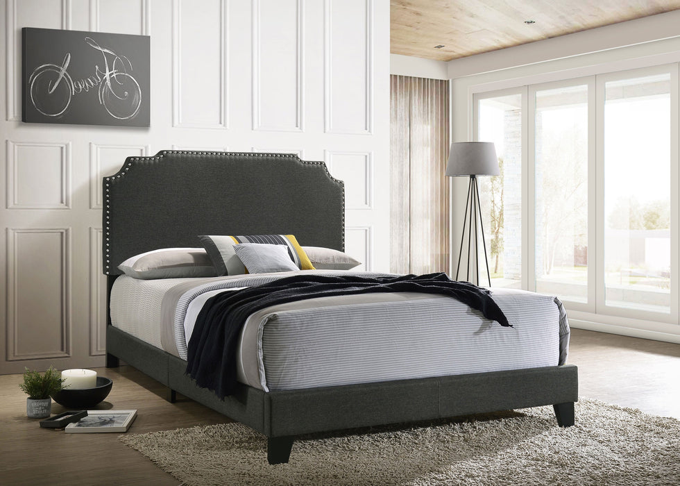 Coaster Tamarac Upholstered Nailhead Bed Grey Full