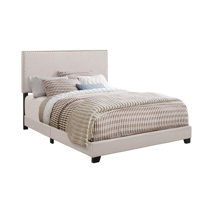 Coaster Boyd Upholstered Bed with Nailhead Trim Ivory Twin