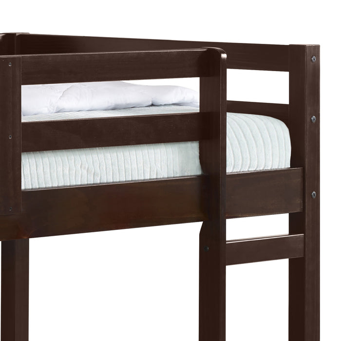 Gaston Teenager Solid Wood Twin Loft Bed