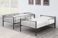 Coaster Anson Twin Over Twin Bunk Bed with Ladder Default Title