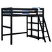 Coaster Anica 3-shelf Wood Twin Loft Bed Black Grey