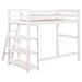 Coaster Anica 3-shelf Wood Twin Loft Bed Black Grey