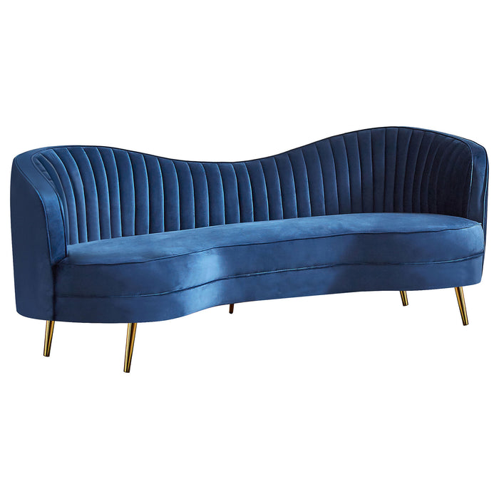 Coaster Sophia Upholstered Camel Back Sofa Blue Default Title