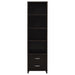 Coaster Lewes 2-drawer Media Tower Cappuccino Default Title