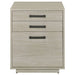 Coaster Loomis 3-drawer Square File Cabinet Whitewashed Grey Default Title