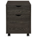 Coaster Noorvik 2-drawer Mobile File Cabinet Dark Oak Default Title