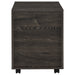 Coaster Noorvik 2-drawer Mobile File Cabinet Dark Oak Default Title