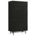 Coaster Santiago Rectangular 4-door Cabinet Matte Black Default Title