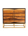 Coaster Zara 2-door Accent Cabinet Black Walnut and Gold Default Title