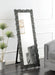 Coaster Mckay Textural Frame Cheval Floor Mirror Silver and Smoky Grey Default Title