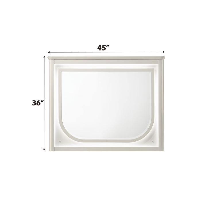 Laveda 45"L Rectangular Beveled Mirror with LED