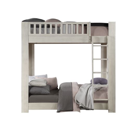 Cedro Teenager Solid Wood Bunk Bed (T/T)