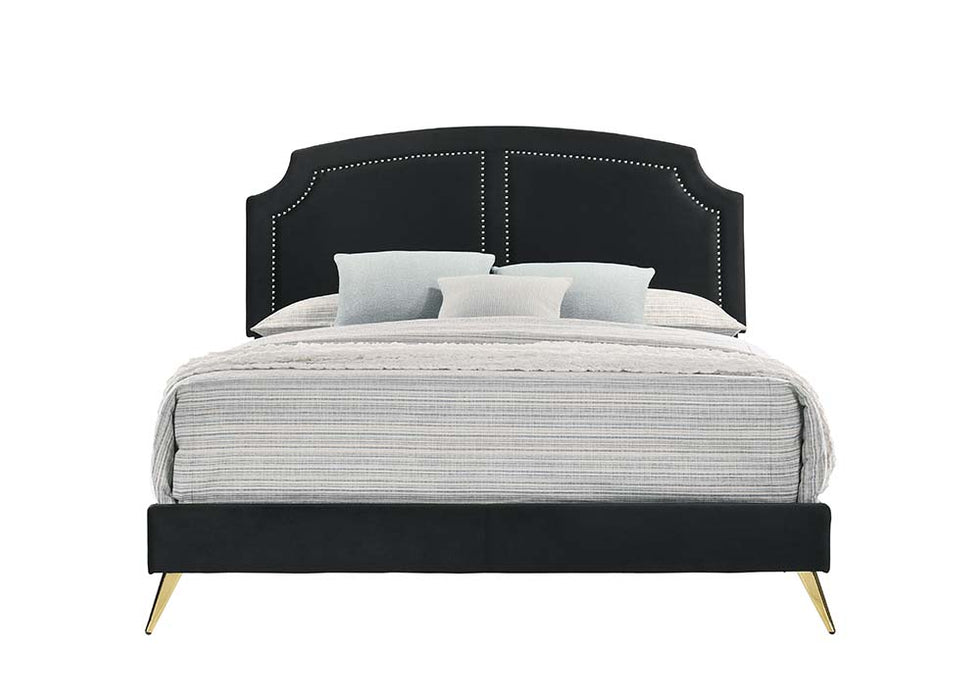 Zeena Upholstered Bed