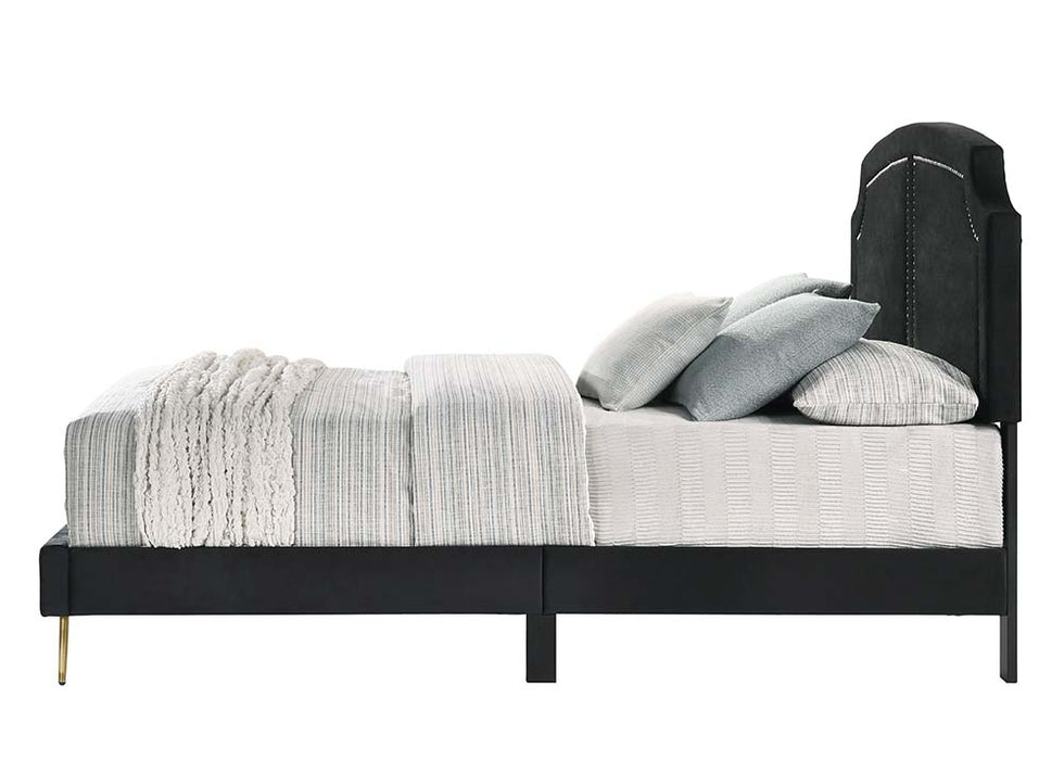 Zeena Upholstered Bed