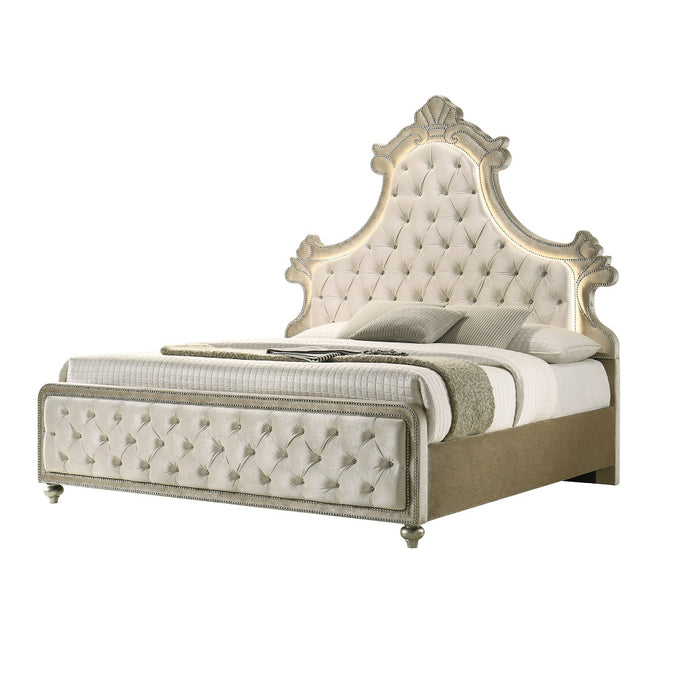 Lucienne Upholstered Bed with LED