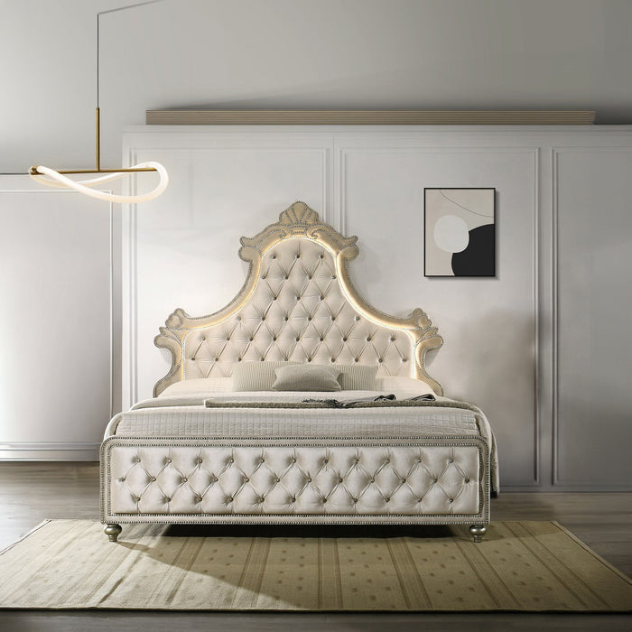 Lucienne Upholstered Bed with LED