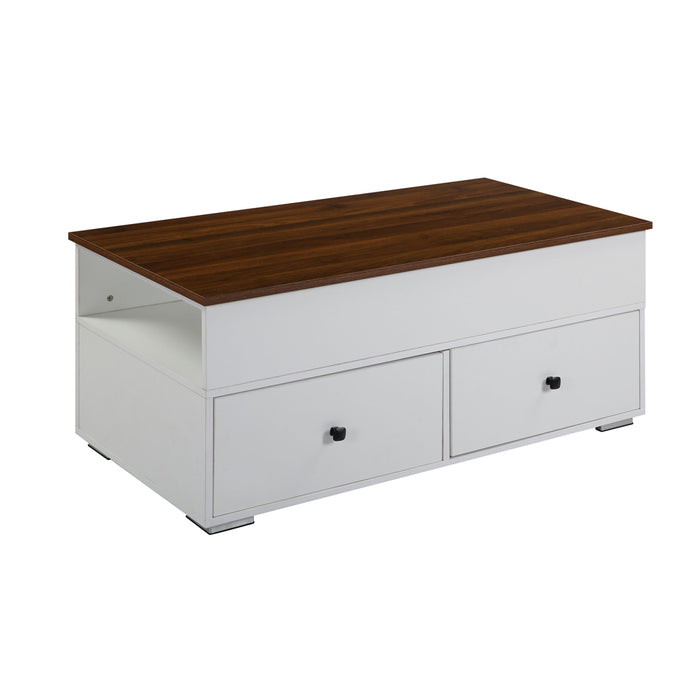 Raeden 2 Drawers Rectangular Coffee Table with Lift Top