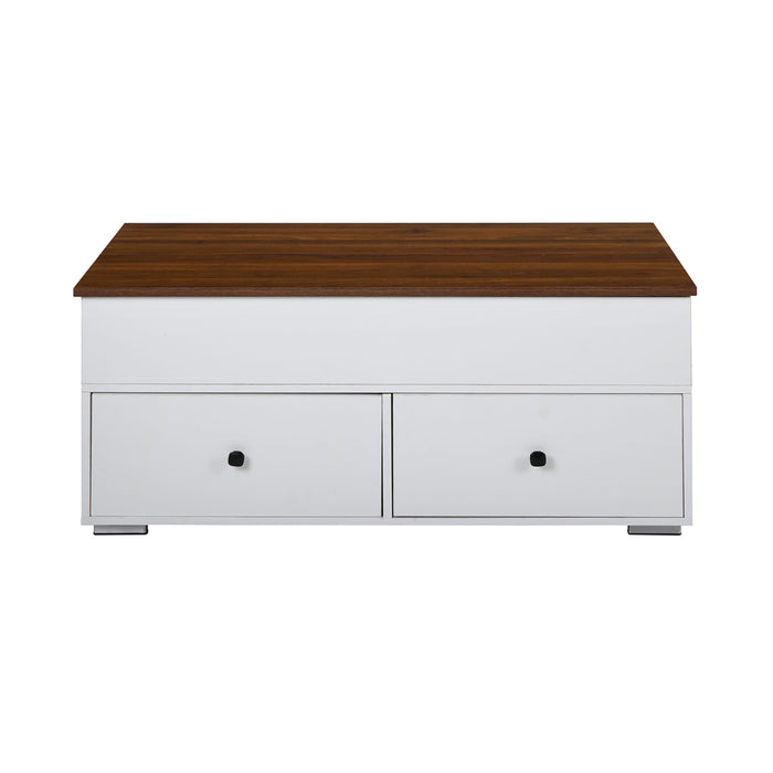 Raeden 2 Drawers Rectangular Coffee Table with Lift Top